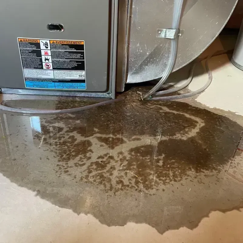 Appliance Leak Cleanup in Mahomet, IL